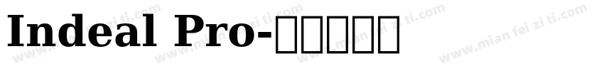 Indeal Pro字体转换